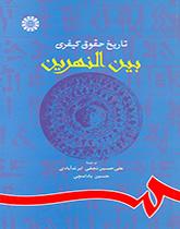 تاریخ حقوق کیفری بینالنهرین